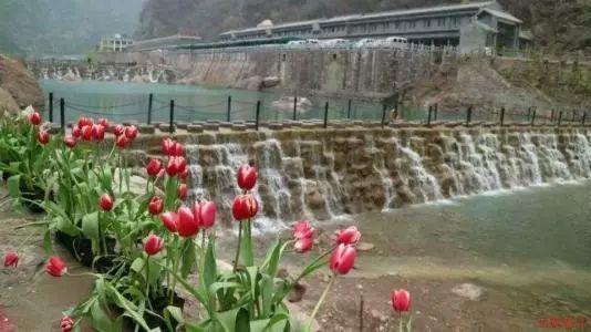 易车发布多份榜单,揭晓2023年度“易车号百强自媒体”