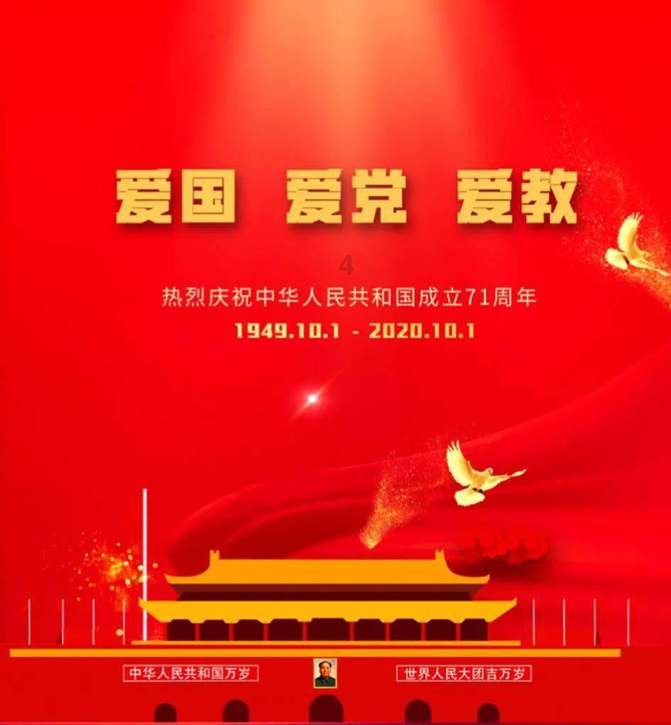 五彩鹦鹉救援